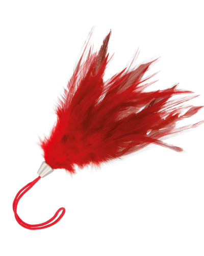 darkness red feather 17cm