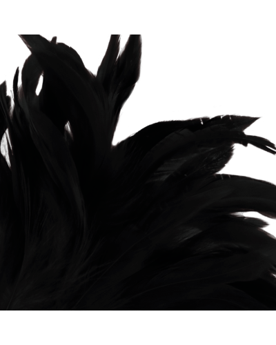 darkness black feather lux darkness black feather lux