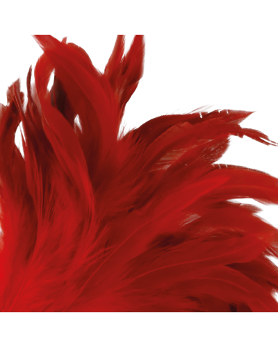 darkness red feather 24cm