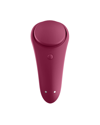 satisfyer sexy secret panty