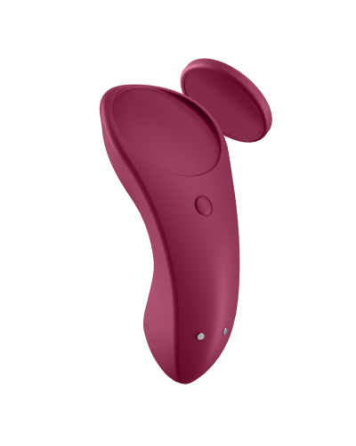 satisfyer sexy secret panty