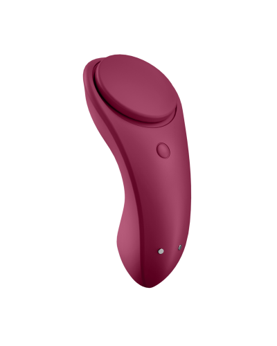 satisfyer sexy secret panty