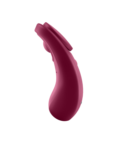 satisfyer sexy secret panty