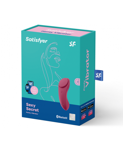 satisfyer sexy secret panty